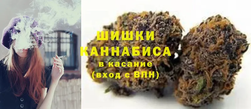 Марихуана Amnesia  что такое   Богородицк 